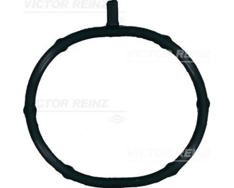 Gasket, intake manifold 71-15700-00 Viktor Reinz