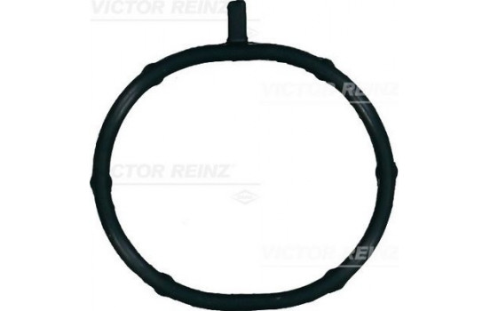 Gasket, intake manifold 71-15700-00 Viktor Reinz