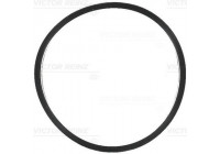 Gasket, intake manifold 71-16791-00 Viktor Reinz