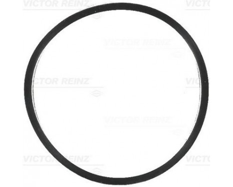 Gasket, intake manifold 71-16791-00 Viktor Reinz
