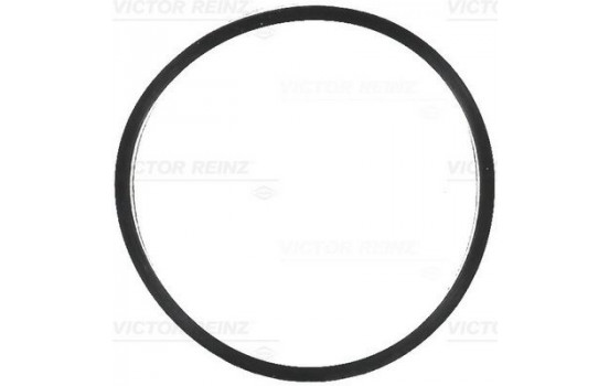 Gasket, intake manifold 71-16791-00 Viktor Reinz