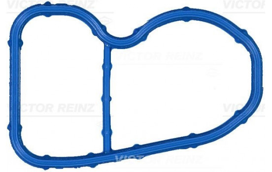 Gasket, intake manifold 71-17090-00 Viktor Reinz
