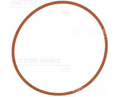 Gasket, intake manifold 71-17146-00 Viktor Reinz