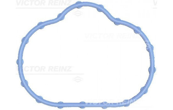 Gasket, intake manifold 71-17497-00 Viktor Reinz