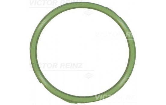 Gasket, intake manifold 71-18339-00 Viktor Reinz