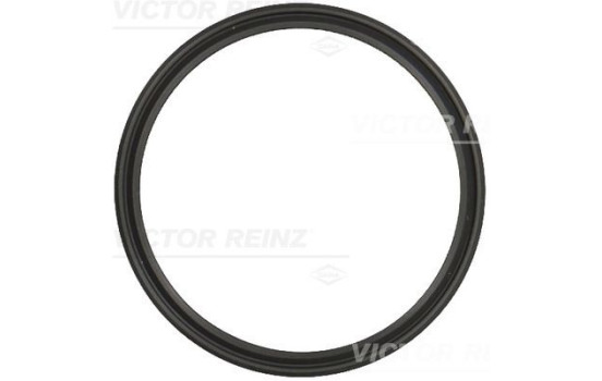 Gasket, intake manifold 71-20033-00 Viktor Reinz