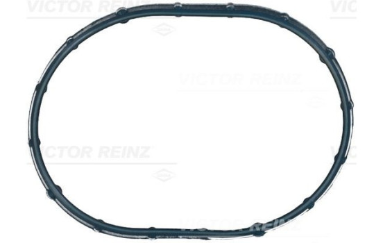 Gasket, intake manifold 71-21056-00 Viktor Reinz