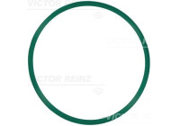 Gasket, intake manifold 71-21910-00 Viktor Reinz