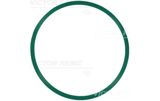 Gasket, intake manifold 71-21910-00 Viktor Reinz