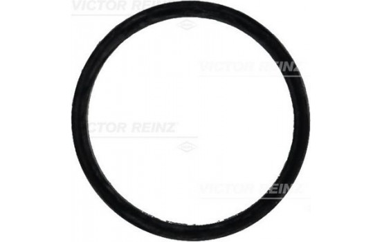 Gasket, intake manifold 71-31647-00 Viktor Reinz