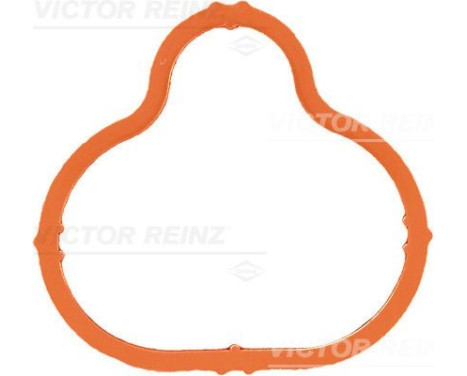 Gasket, intake manifold 71-34266-00 Viktor Reinz
