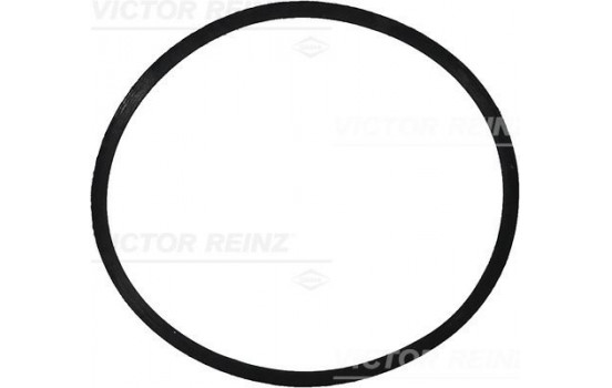 Gasket, intake manifold 71-34473-00 Viktor Reinz