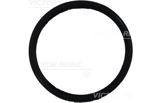 Gasket, intake manifold 71-35249-00 Viktor Reinz