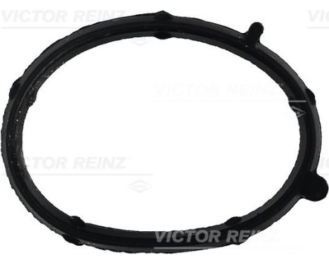 Gasket, intake manifold 71-35681-00 Viktor Reinz