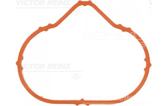 Gasket, intake manifold 71-38549-00 Viktor Reinz