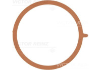 Gasket, intake manifold 71-38953-00 Viktor Reinz