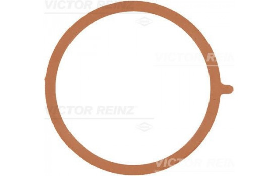 Gasket, intake manifold 71-38953-00 Viktor Reinz