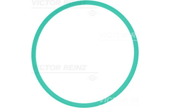 Gasket, intake manifold 71-39302-00 Viktor Reinz