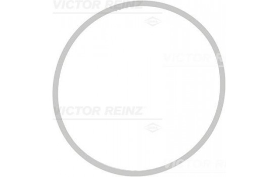 Gasket, intake manifold 71-39409-00 Viktor Reinz