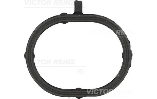 Gasket, intake manifold 71-54162-00 Viktor Reinz