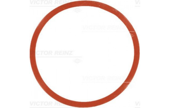 Gasket, intake manifold 71-77546-00 Viktor Reinz