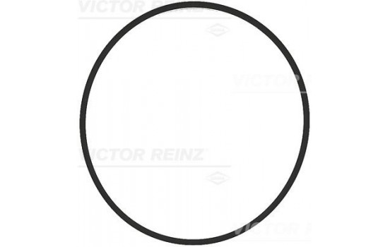 Gasket, intake manifold housing 71-17376-00 Viktor Reinz