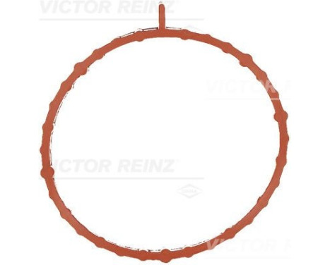 Gasket, intake manifold housing 71-17461-00 Viktor Reinz