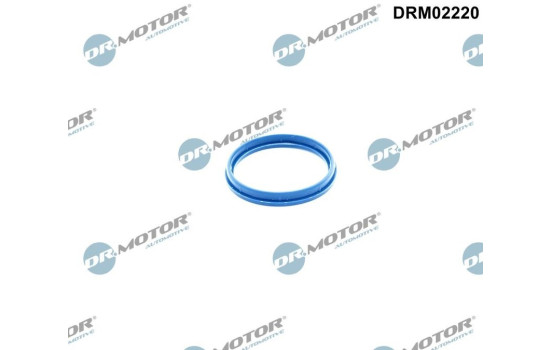 Gasket, intake manifold housing