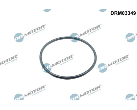 Gasket, intake manifold housing