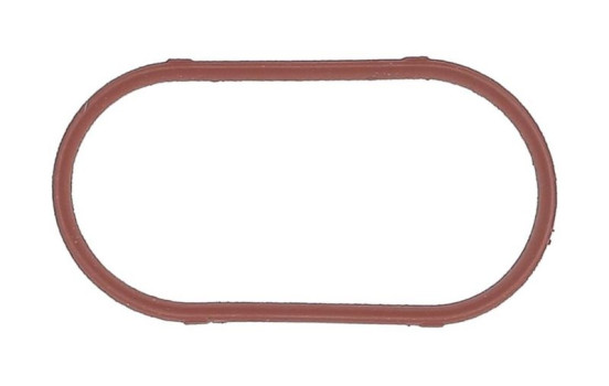 Gasket, intake manifold JD493 Payen