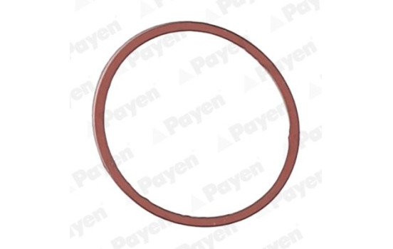 Gasket, intake manifold JD5107 Payen