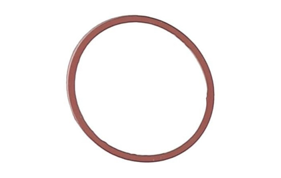 Gasket, intake manifold JD5107 Payen