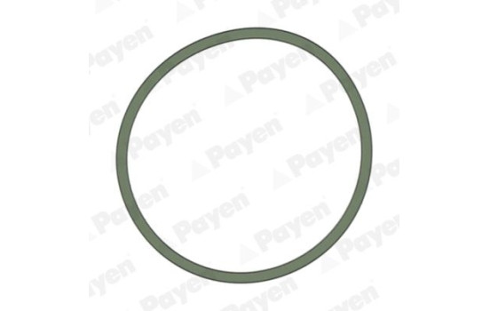 Gasket, intake manifold JD5228 Payen