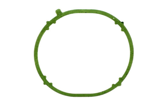 Gasket, intake manifold JD6031 Payen