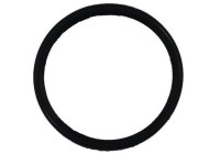 Gasket, intake manifold JD6150 Payen