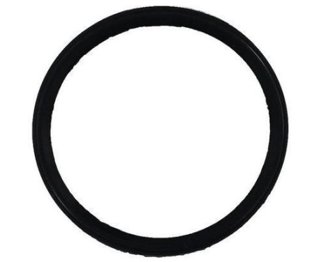 Gasket, intake manifold JD6150 Payen