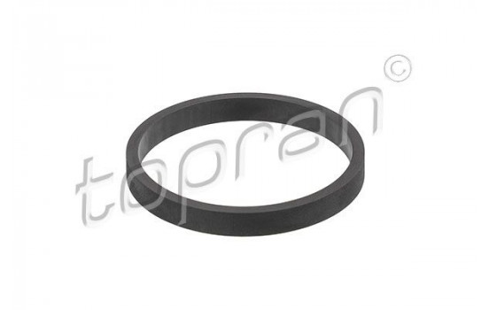 Gasket, intake manifold