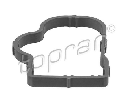 Gasket, intake manifold