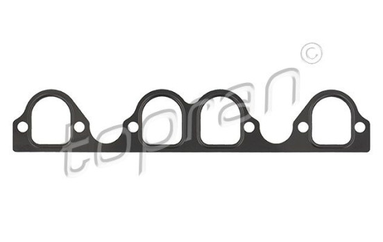 Gasket, intake manifold