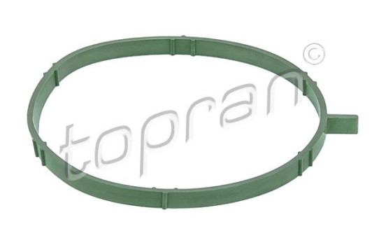 Gasket, intake manifold