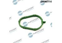 Gasket, intake manifold