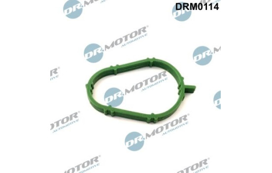 Gasket, intake manifold