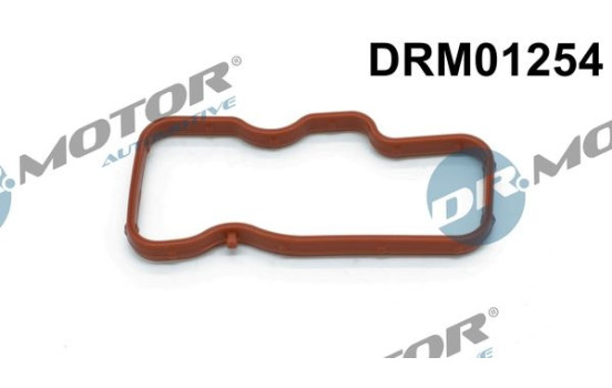 Gasket, intake manifold