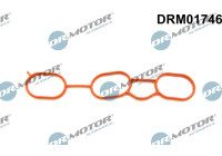 Gasket, intake manifold