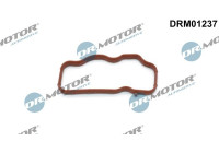 Gasket, intake manifold