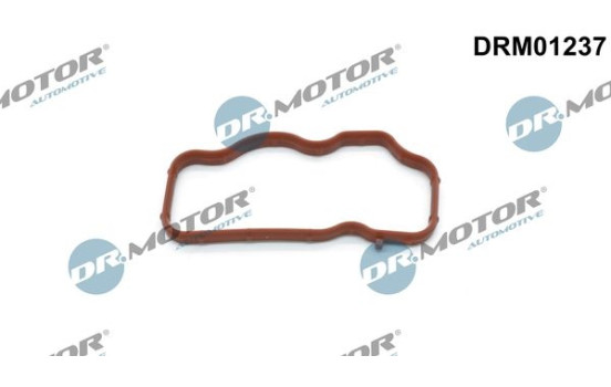 Gasket, intake manifold