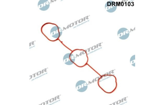 Gasket, intake manifold