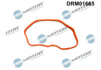 Gasket, intake manifold
