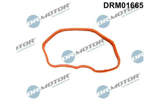 Gasket, intake manifold