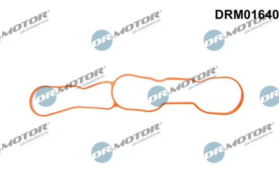 Gasket, intake manifold